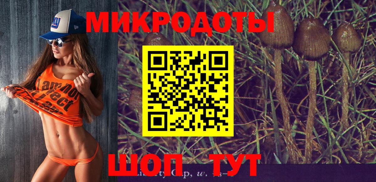 Галлюциногенные грибы MAGIC MUSHROOMS Междуреченск